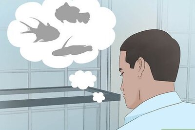 How to Start a Saltwater Aquarium