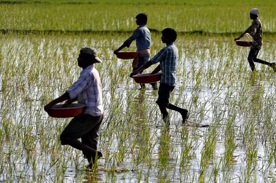 Rice Gets Costlier By 30% Since Early June On High Export Demand, Crop Shortage