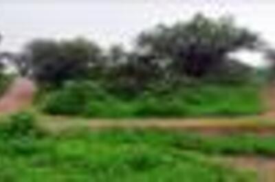 Laoshan Mountain Bike