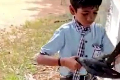 Video Of This Young Boy Rescuing Crow Trapped In Net Is Tutorial On Kindness
