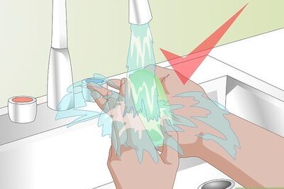 How to Bond With Your Hedgehog