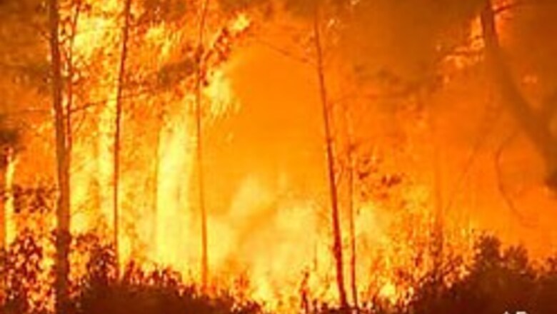 Climate change fueling fires: Scientists