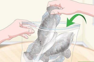 How to Defrost Fish Fast