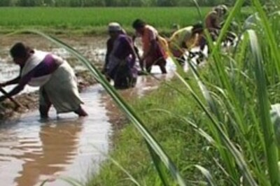 Eco Survey Highlights: Subsidies