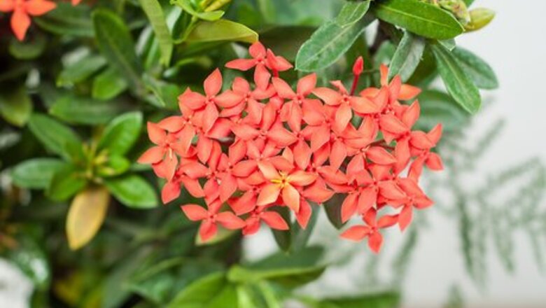 How to Make Floral Craft Arrangements