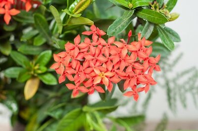 How to Make Floral Craft Arrangements