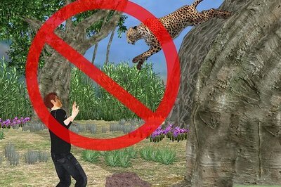 How to Survive a Jaguar Attack