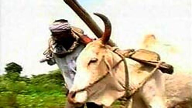 Donate to help Vidarbha farmers