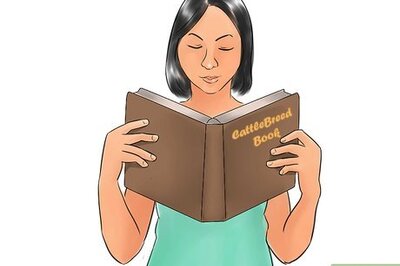 How to Identify Beefmaster Cattle