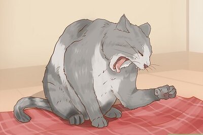 How to Save a Choking Cat