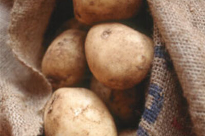 Now log on to buy potatoes in WB