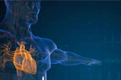 What Causes A Heart Attack? How Can You Avoid It With Your Lifestyle