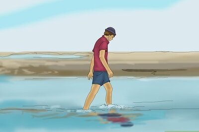 How to Catch Prawns