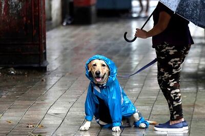 Global Climate Events Over Last 3,200 Years May Have Caused Variations in Indian Summer Monsoon