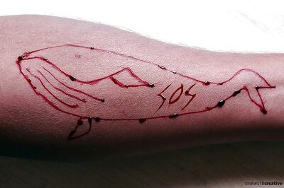 Gujarat Government to Give Cash Reward to Find Out Blue Whale Curators