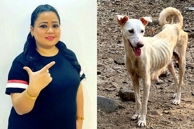 NGO Responds to Bharti Singh’s Appeal Of Feeding Stray Dogs