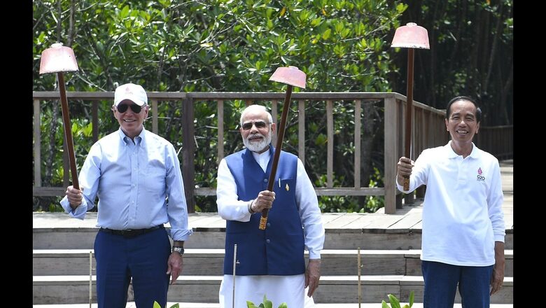 Under Threat from Climate Change, India Steps Up to Protect Vulnerable Mangroves Cover With G20 Fillip