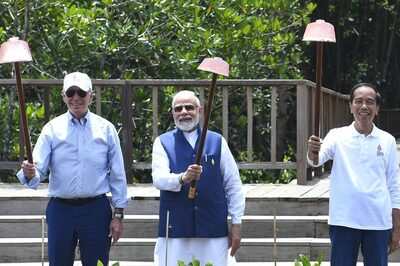 Under Threat from Climate Change, India Steps Up to Protect Vulnerable Mangroves Cover With G20 Fillip