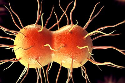 Man Suffers From ‘Super Gonorrhea’ After Having Unprotected Sex On Asia-Pacific Trip