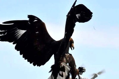 Meet Telangana's New 'Legal Eagles': Police Force Set to Deploy 'Flying Squad' to Clip Wings of Dodgy Drones