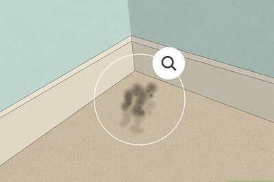 How to Get Rid of Carpet Mold