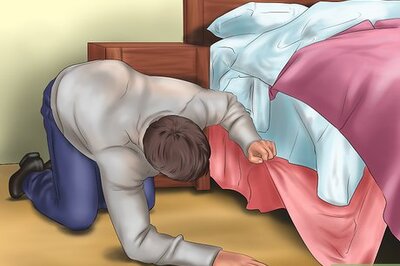 How to Find a Missing Pet