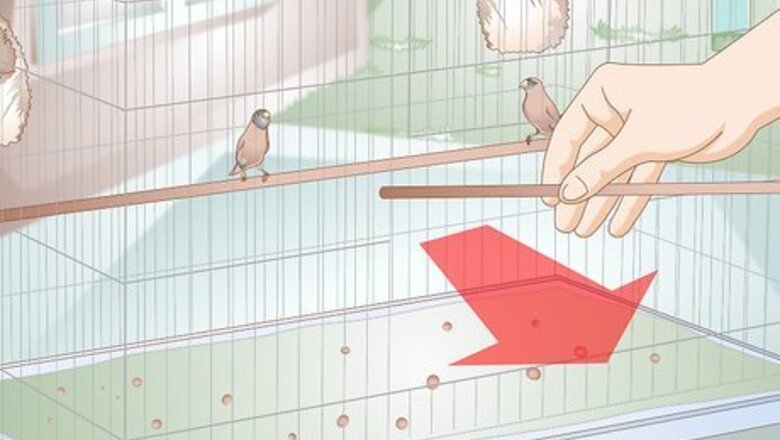 How to Disinfect a Finch Cage