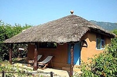 Camp Forktail, Corbett National Park