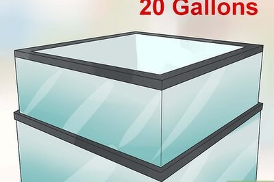 How to Care for Ghost Crabs