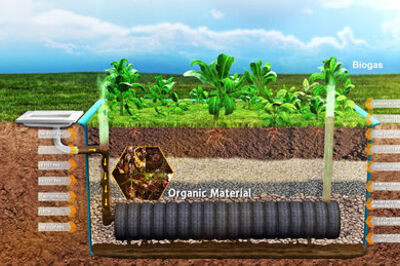 How to Make an Evapotranspiration Toilet