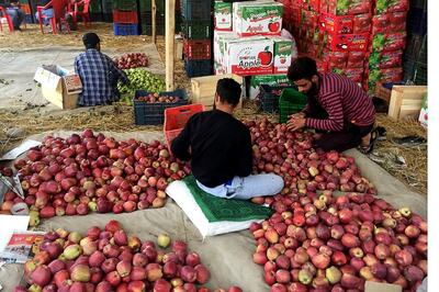 Kashmiri Footpath Vendors Defy Strike Call to Observe Infantry Day as 'Black Day' After 30 Years