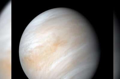 Did Moon Flip Venus' Spin In Wrong Direction? This Study Claims So