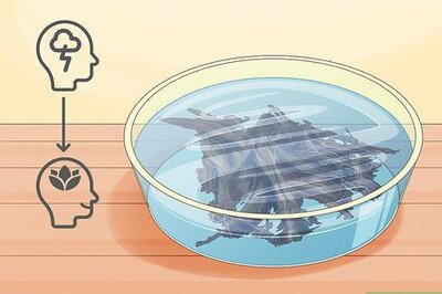 Harvesting Mimosa Tree Bark for Medicinal Purposes