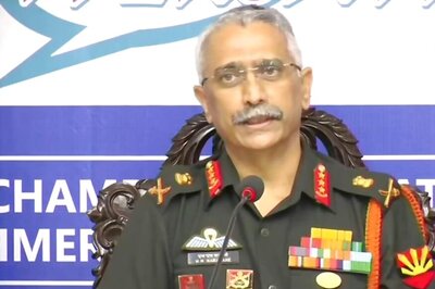 Pakistan Army Beheaded Porter, Army Chief Naravane Says Will Deal in 'Military Manner'