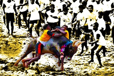 Jallikattu is Not Just Bull, It's Also About Animal Spirits