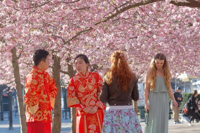 Beginning in October, Travel to Japan Will Be Made Simpler. Know Why Here