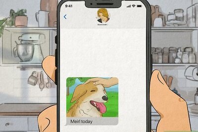 What Does “Meirl” Mean?