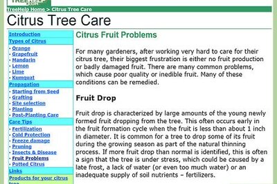 How to Troubleshoot Citrus Fruit Failure