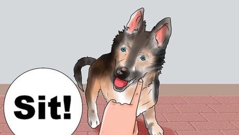 How to Train a German Shepherd