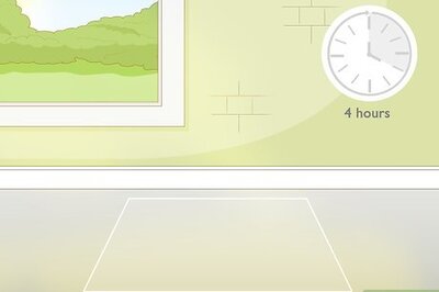 How to Take Care of a Chinese Money Plant