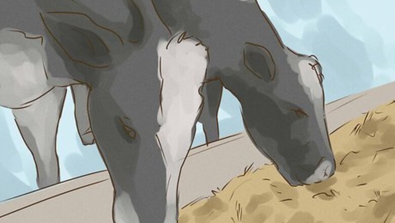 How to Avoid Mad Cow Disease