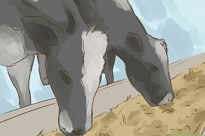 How to Avoid Mad Cow Disease