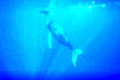 What's Hidden in the Indian Ocean? Voyage Launched to Explore the Unknown