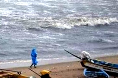 Intense Efforts On to Save Tamil Nadu Coastal Islands; 25,000 Palm Seeds Sown in 10 Islands