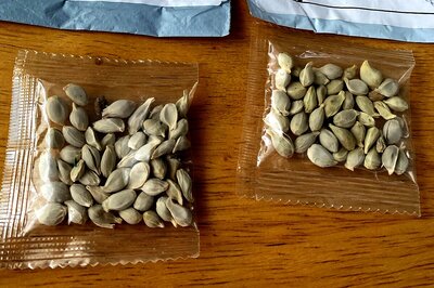 Amazon Bans Sales of Foreign Seeds in US After Mystery Packets from China