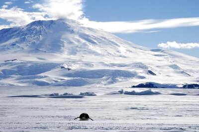 Antarctic Ice Hits Record Low as Shipping Risks Rise