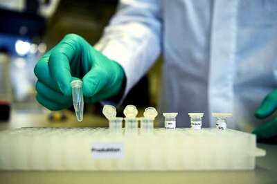 Argentina Orders Mandatory Self-Quarantine Till March 31 to Stop COVID-19 Pandemic