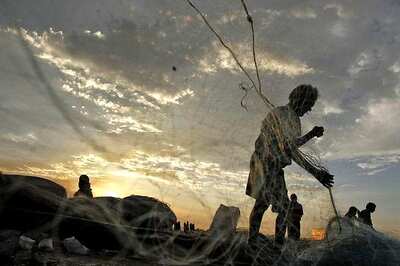 Odisha Bans Coastal Fishing to Protect Olive Ridley Sea Turtles