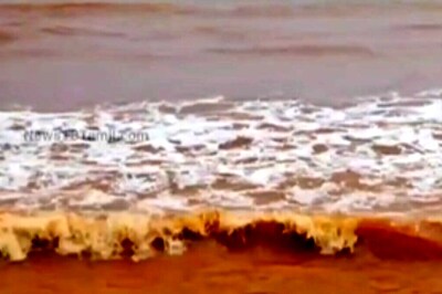 Puducherry Sea Water Turns Red For 3rd Time In A Month