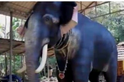 PETA India Gifts Life-size Mechanical Elephant to Kerala Temple